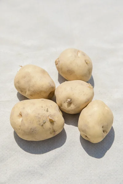 じゃがいもといえば北海道！