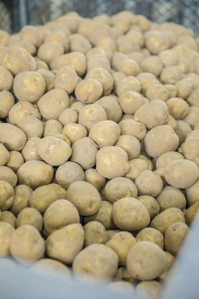 おいしいじゃがいもといえば北海道