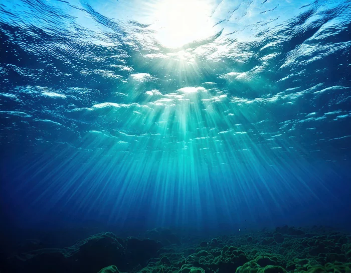 地球最古の生命体は深海で誕生した？最有力視されている「黄鉄鉱表面説」／人類なら知っておきたい 地球の雑学（19）