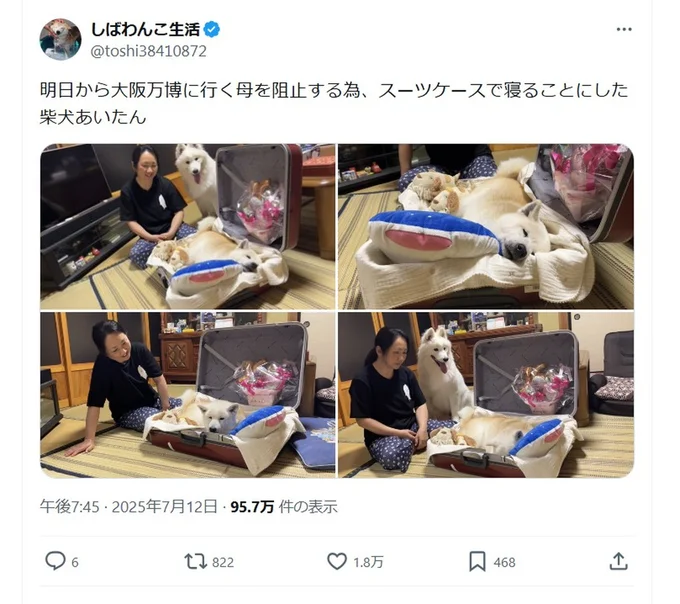 SNSで話題となったお母さんの旅行を阻止するワンコ▶大好きなお母さんと離れたくない！（⇒次へ）