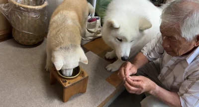 優しいおじいちゃん▶お庭でも見守ってくれています（⇒次へ）