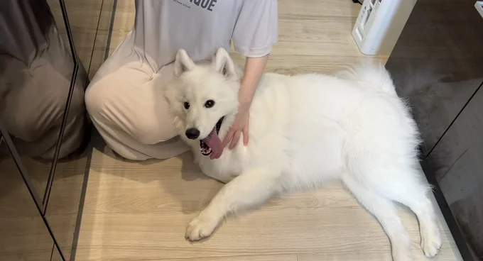 あいすちゃんもお母さんが大好きなんですね▶「もっとなでて～」（⇒次へ）