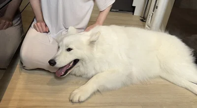 うっとりとした表情のあいすちゃん▶「まだ離れたくないの……」（⇒次へ）