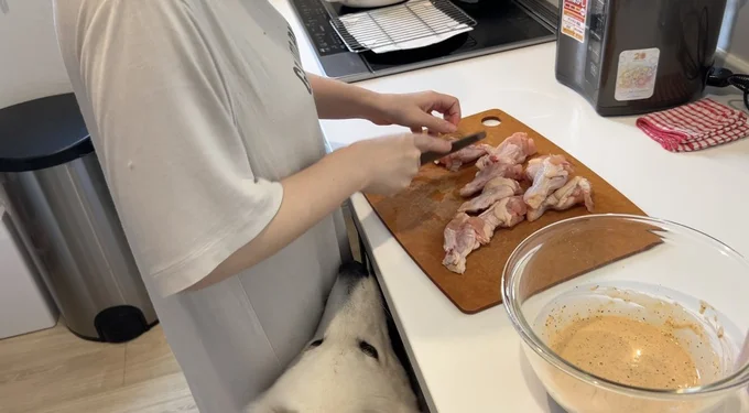 お料理を再開すると入り込んでくるあいすちゃん▶お母さんの旅行中もたっぷり愛情をもらっています(⇒次へ)