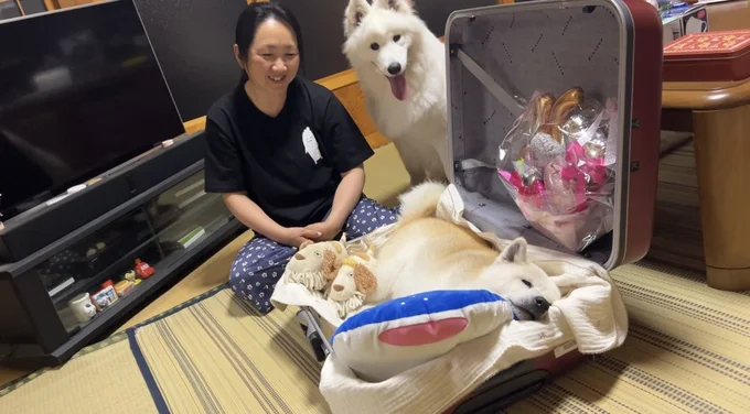 お母さんに旅行に行ってほしくないあいちゃん▶ぴったりサイズ…(⇒次へ)