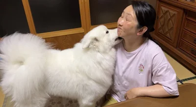 お母さんに甘えるあいすちゃん▶雨の日の2匹の様子（⇒次へ）