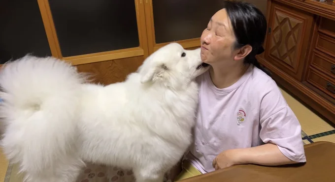 お母さんに甘えるあいすちゃん▶雨の日の2匹の様子（⇒次へ）