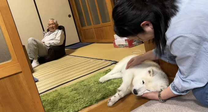 感動の再会です!▶お母さんにぴったり身を寄せるあいちゃん(⇒次へ)
