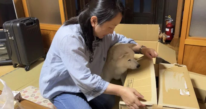 お母さんにくっついて幸せそうです▶サモエドのあいすちゃんも一緒に暮らしています（⇒次へ）