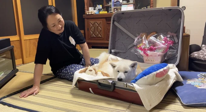 どことなくさみしそうな表情のあいちゃん▶もう一匹の愛犬も見守っています（⇒次へ）