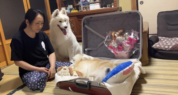 あいすちゃんも見ています▶お母さんの旅行中はどんな様子?(⇒次へ)