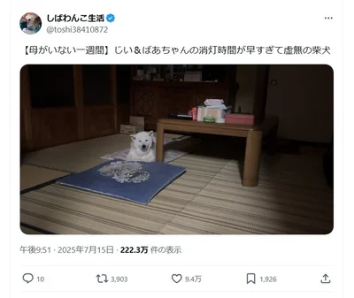 お母さんが旅行中、暗い部屋でぼんやりとたたずむあいちゃん▶ポストを見た人からは「虚無感がすごい」とのコメントも（⇒次へ）