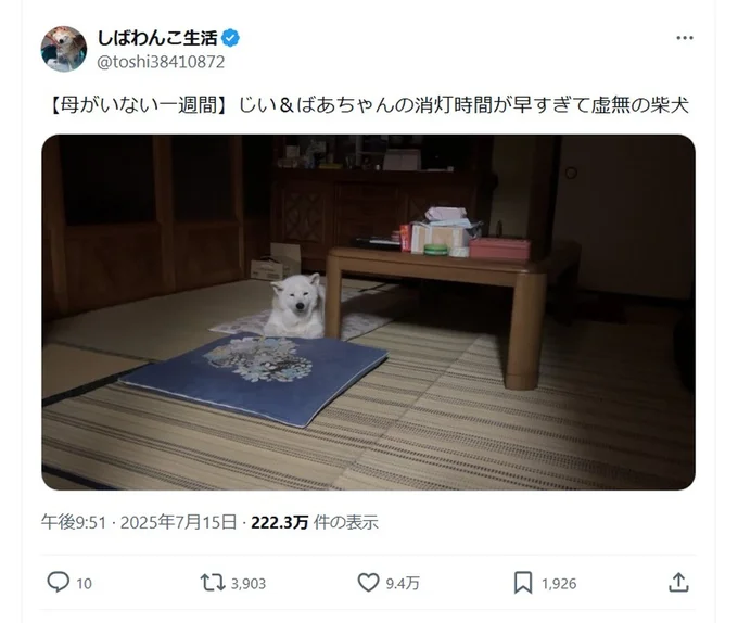 お母さんが旅行中、暗い部屋でぼんやりとたたずむあいちゃん▶ポストを見た人からは「虚無感がすごい」とのコメントも（⇒次へ）