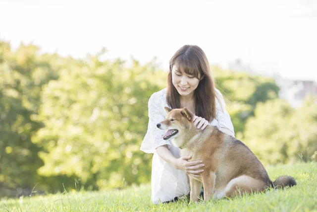 お母さんの旅を止めたい……！柴犬の“切実な作戦”に1.8万いいね