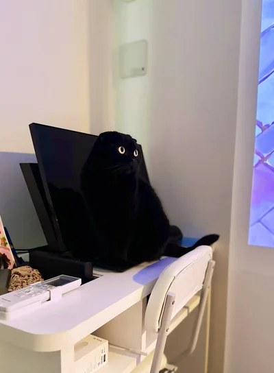 やっぱり謎の一体感を示すぷりもちゃん。PCから飛び出してきたみたいですね！（⇒次の画像からは、黒猫との生活を描いた大人気シリーズ『黒猫ろんと暮らしたら5』が読めます！）