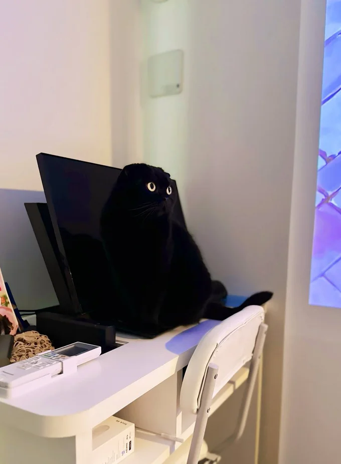 やっぱり謎の一体感を示すぷりもちゃん。PCから飛び出してきたみたいですね！（⇒次の画像からは、黒猫との生活を描いた大人気シリーズ『黒猫ろんと暮らしたら5』が読めます！）