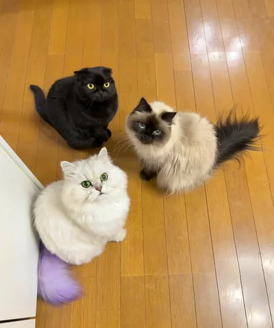 とっても尊い！チーム感がありますね！▶キャンピングカーでのおでかけも……（⇒次へ）