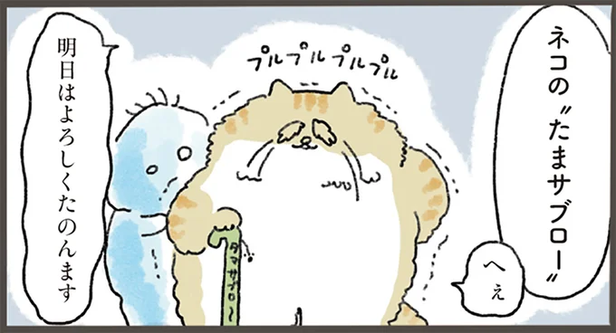 ネコの”たまサブロー”