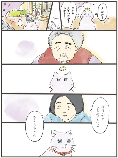 『天国での暮らしはどうですか』より