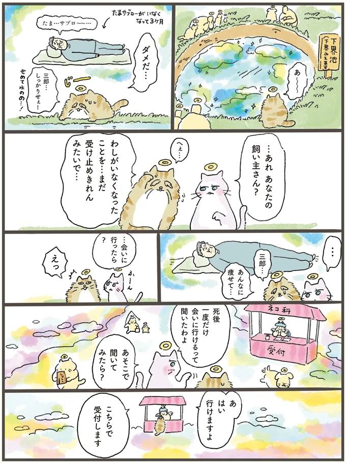 …あれあなたの飼い主さん？