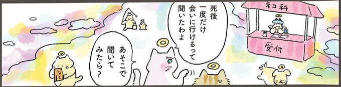 死後一度だけ会いに行けるって聞いたわよ