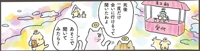 天国からは一度きり。ペットロスで寝込む飼い主へ、老猫が伝えたかったこと