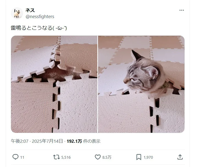 雷から隠れた場所はまさかの…!▶こんなところに!?(⇒次へ)