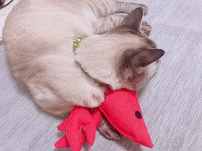 エビの上で眠るネスくん▶トンネルの反対側からやってくるのは？（⇒次へ）