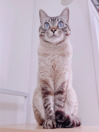 最高にかわいい一枚▶大きなお口を…（⇒次へ）