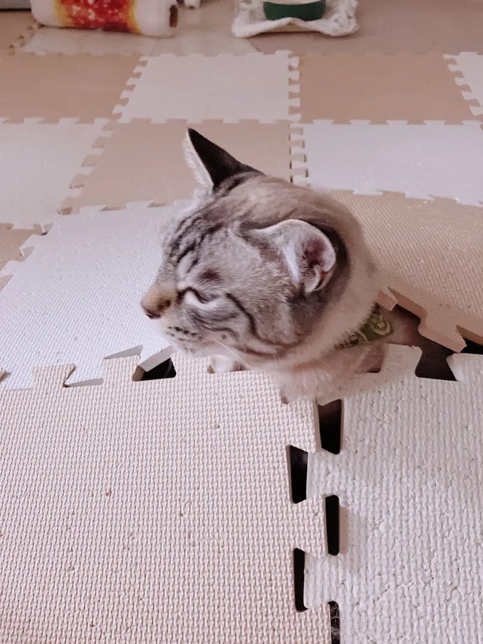 地面よりネスくん、出現▶雷最近多くないですか…?(⇒次へ)