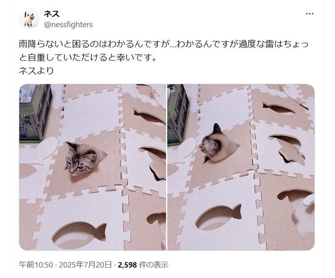ジョイントマットに避難するネスくん▶潜るのは…(⇒次へ)