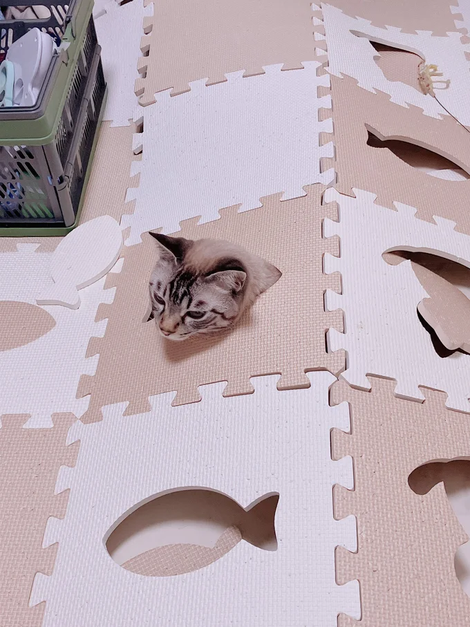 潜るのは雷のときだけなんです▶こだわりがあるからこその場所(⇒次へ)