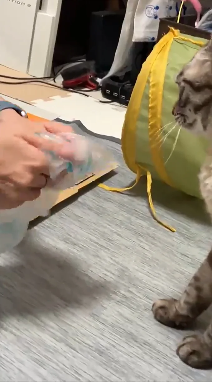 一息つきながらも作業は続く…▶ネスくんのお気に入りは？（⇒次へ）