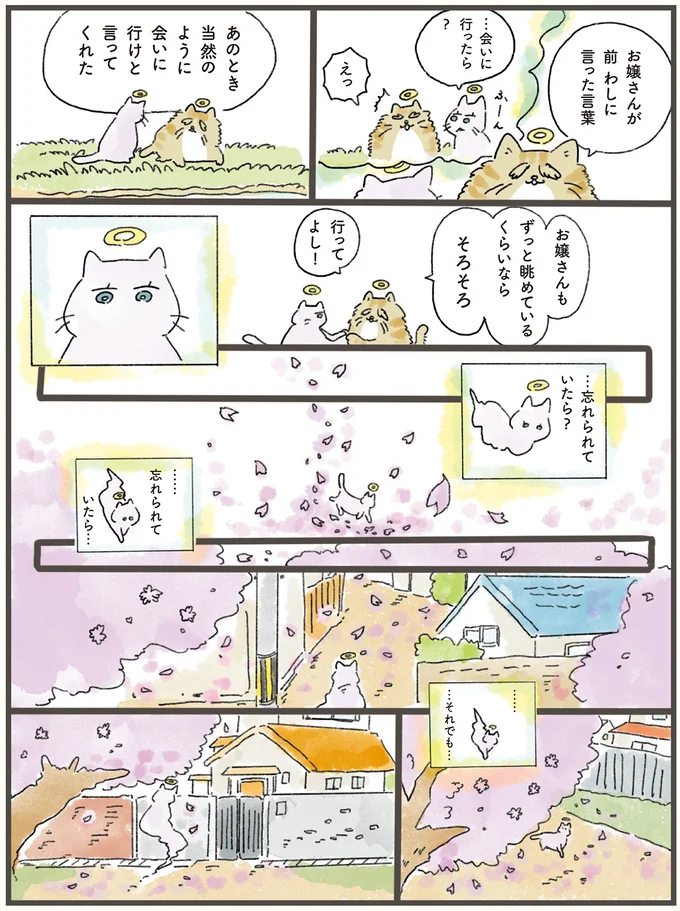 ずっと眺めているくらいならそろそろ行ってよし！