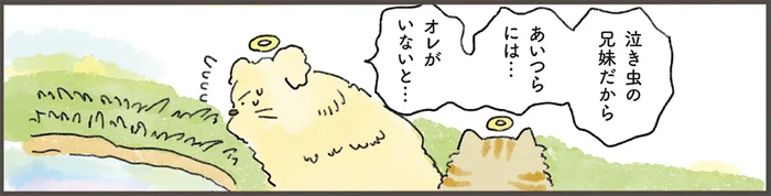 「泣き虫の兄妹には、オレがいないと」天国から駆けつけた犬の決意
