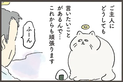 どうしても夢枕に立ちたい。天国に行った猫が、飼い主に伝えたかったこと