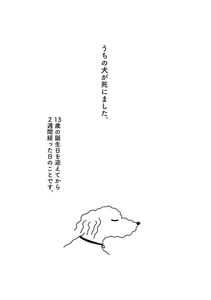 うちの犬が死にました