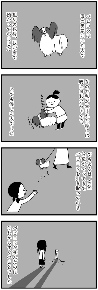 とても優しい犬でした