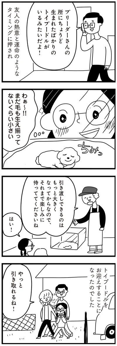 『おはよう、サンテ　不登校の私を救った愛犬との日々』より