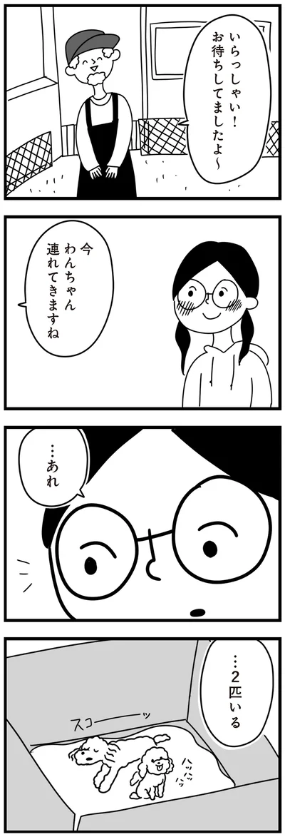 『おはよう、サンテ　不登校の私を救った愛犬との日々』より