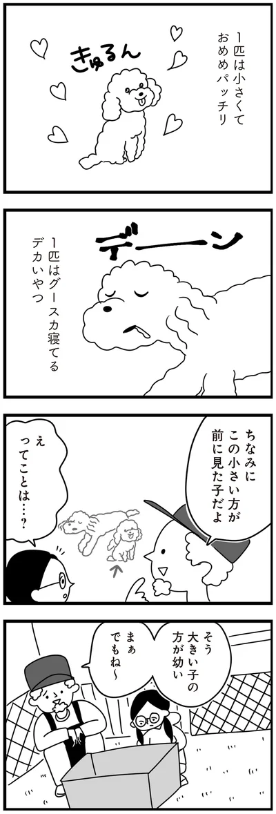 『おはよう、サンテ　不登校の私を救った愛犬との日々』より