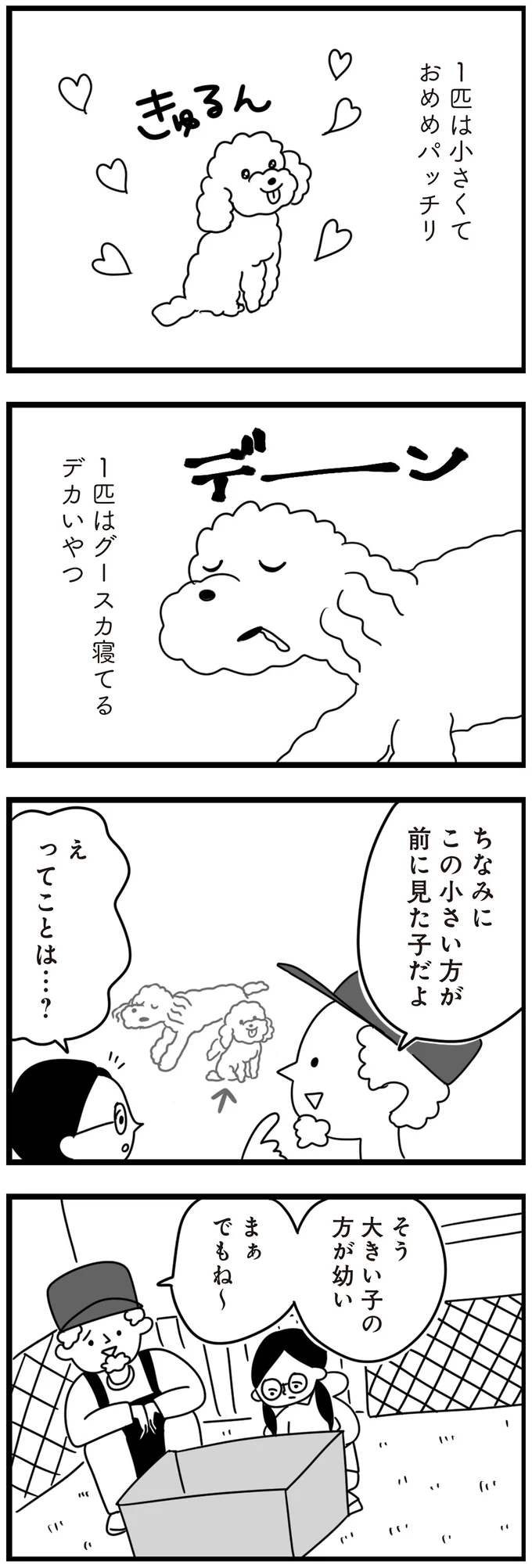 『おはよう、サンテ　不登校の私を救った愛犬との日々』より