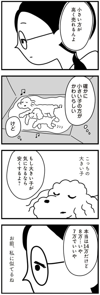 『おはよう、サンテ　不登校の私を救った愛犬との日々』より