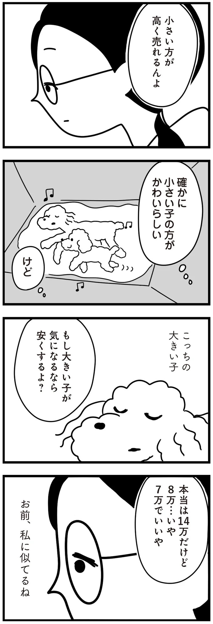 『おはよう、サンテ　不登校の私を救った愛犬との日々』より