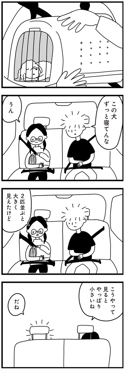 『おはよう、サンテ　不登校の私を救った愛犬との日々』より