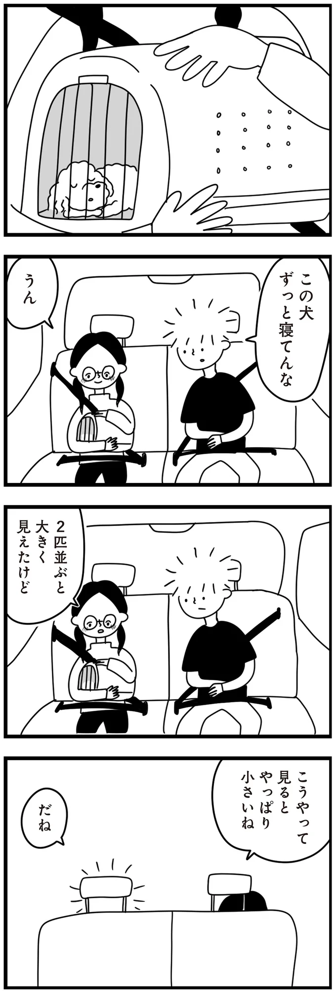 『おはよう、サンテ　不登校の私を救った愛犬との日々』より