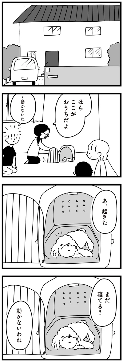 『おはよう、サンテ　不登校の私を救った愛犬との日々』より