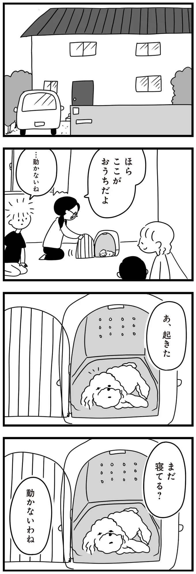 『おはよう、サンテ　不登校の私を救った愛犬との日々』より