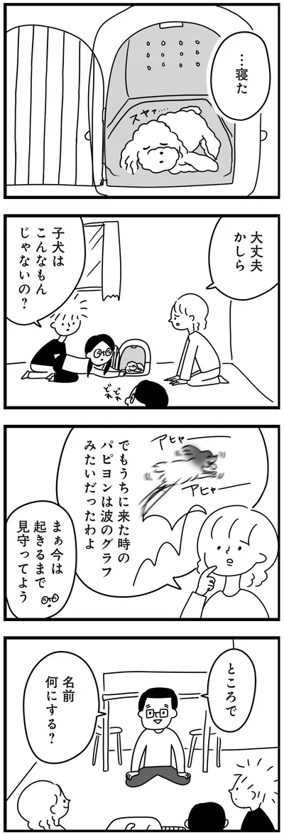 『おはよう、サンテ　不登校の私を救った愛犬との日々』より