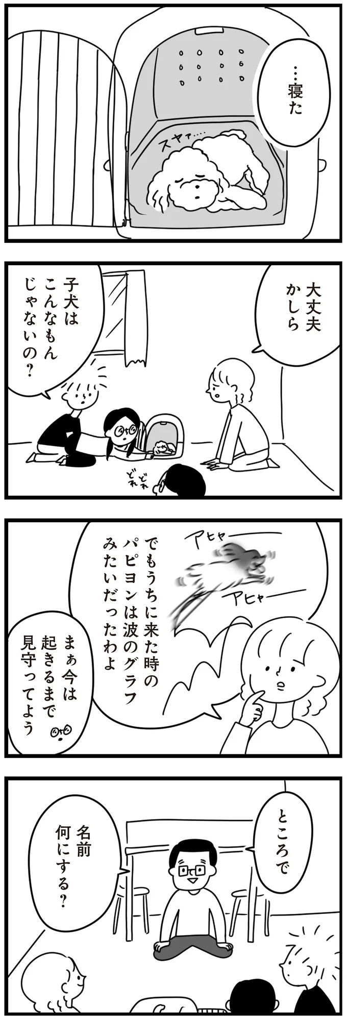 『おはよう、サンテ　不登校の私を救った愛犬との日々』より